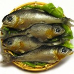 Kiva Atkinson's Miniature Foods