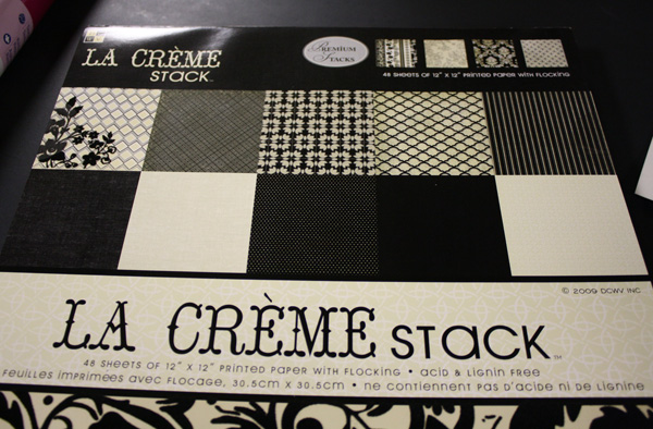 ScrapBook Paper for Minis! My Recent Acquisitions