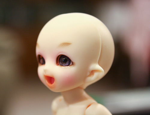 Fairyland PukiPuki PongPong