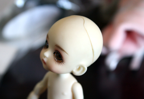LatiDoll, LatiWhite Belle Unboxing