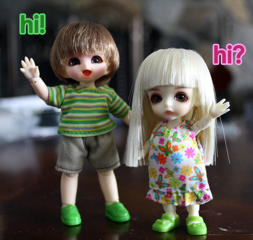 Shopping For the Dollies